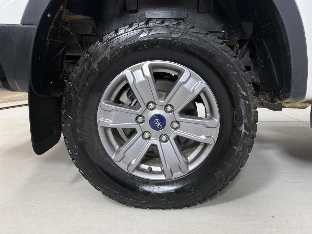 Photo '12' of Ford Ranger Photo '12' of Ford Ranger