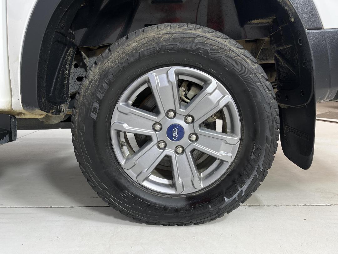 Photo '11' of Ford Ranger Photo '11' of Ford Ranger