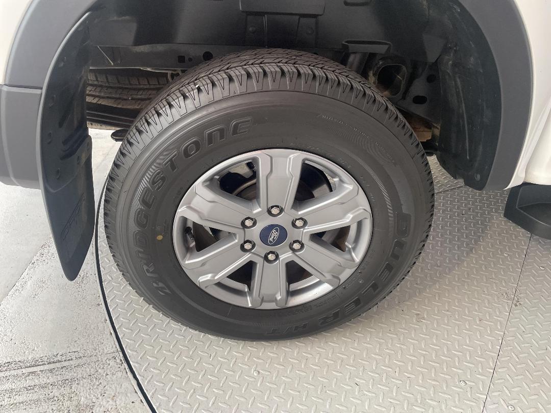 Photo '12' of Ford Ranger Photo '12' of Ford Ranger