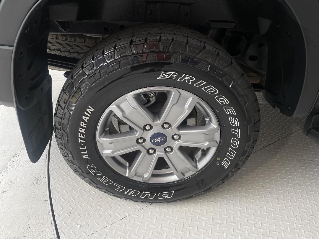 Photo '12' of Ford Ranger Photo '12' of Ford Ranger