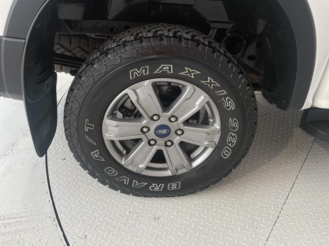 Photo '12' of Ford Ranger