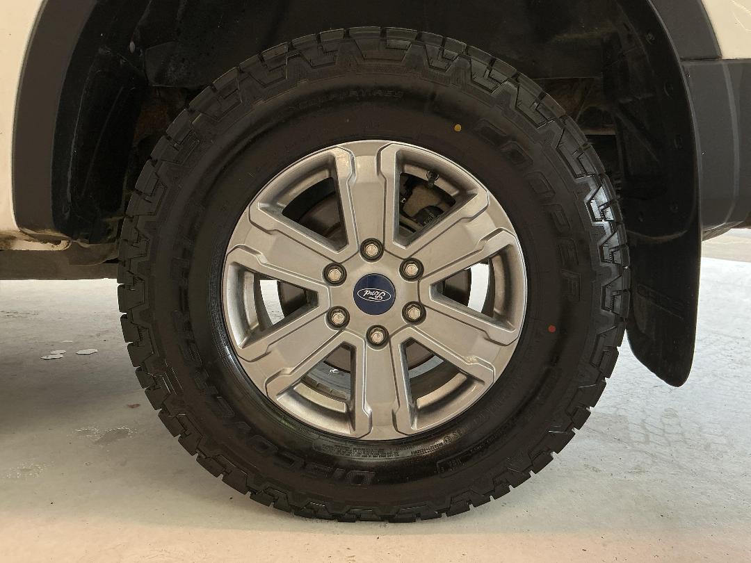 Photo '11' of Ford Ranger