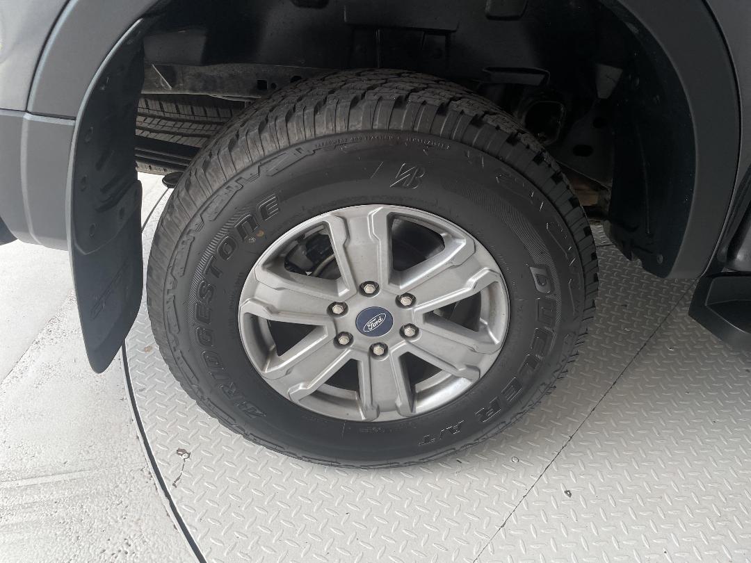 Photo '12' of Ford Ranger