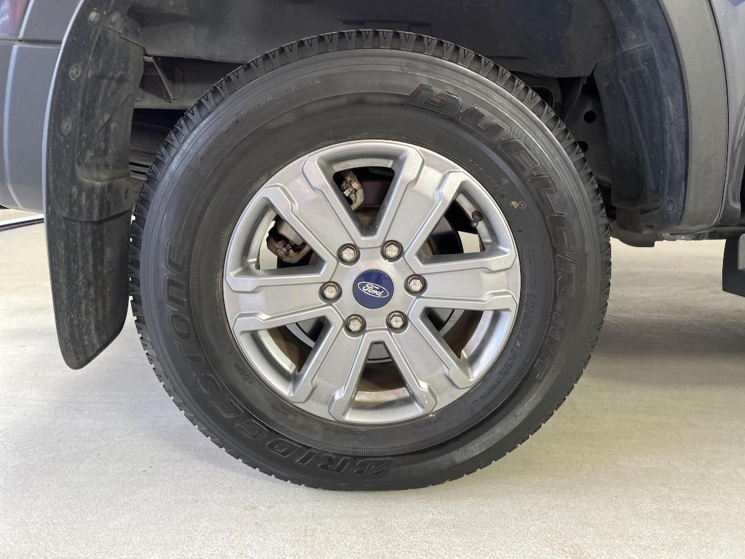 Photo '12' of Ford Ranger