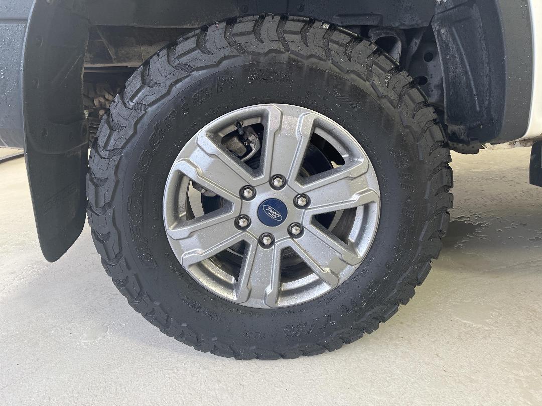 Photo '12' of Ford Ranger Photo '12' of Ford Ranger