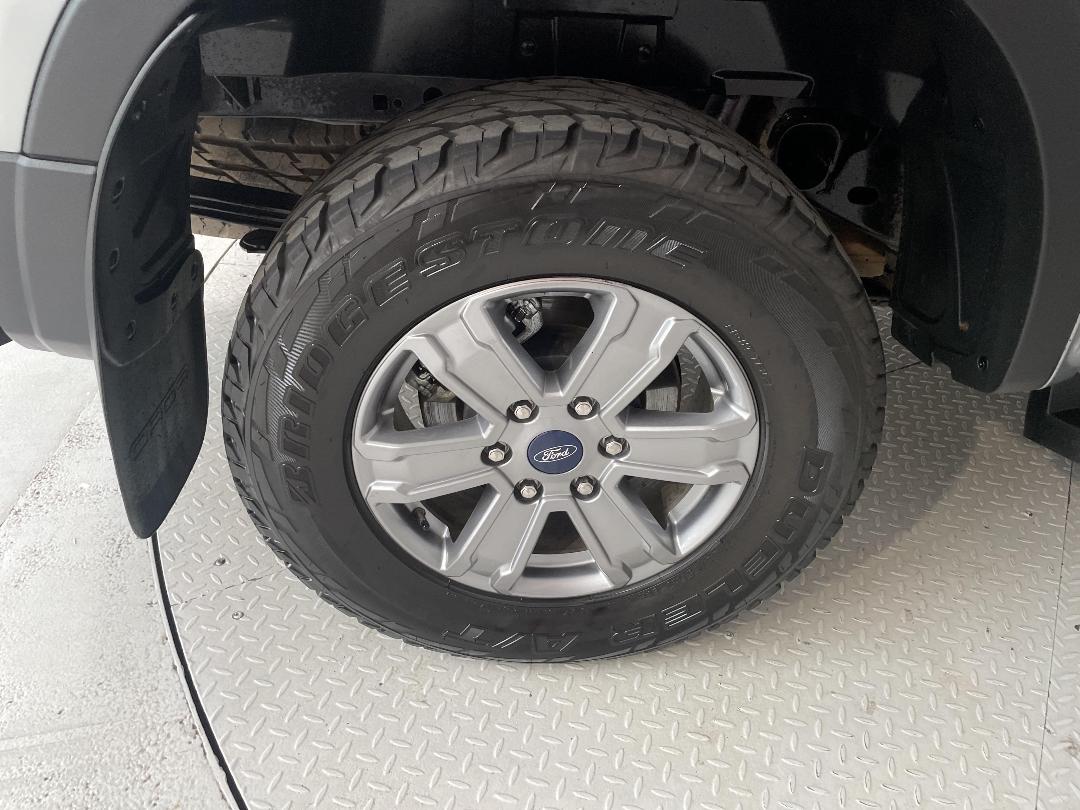 Photo '12' of Ford Ranger