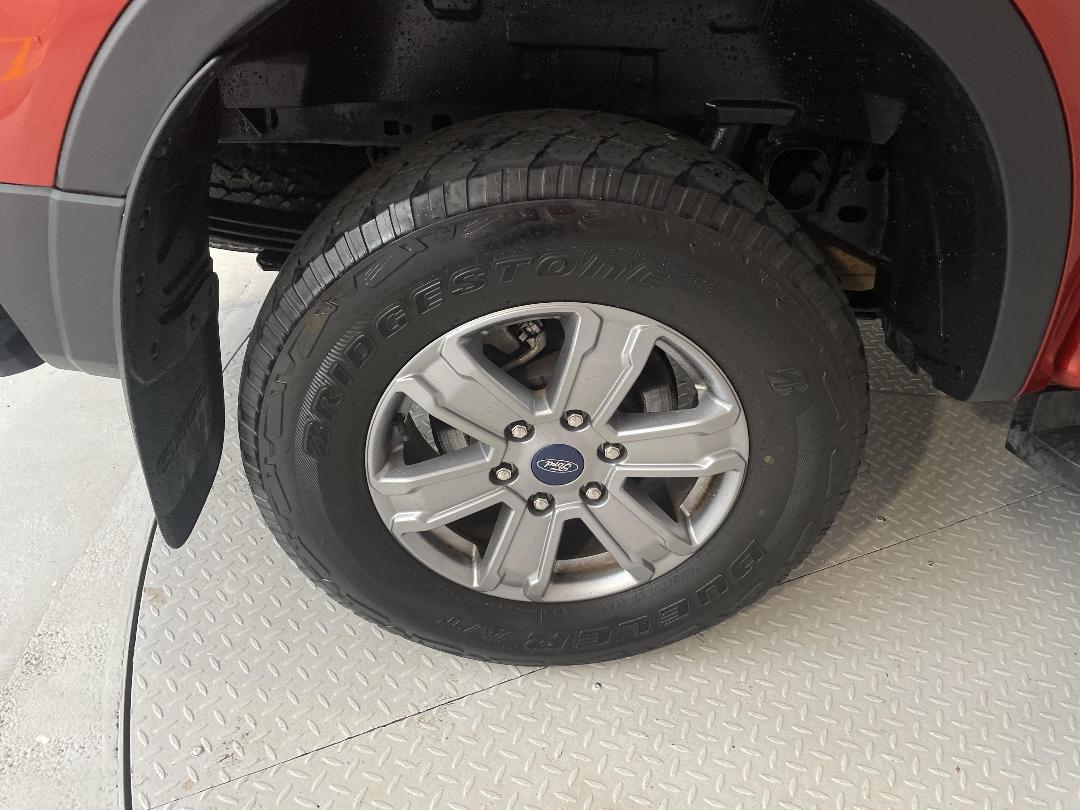 Photo '12' of Ford Ranger