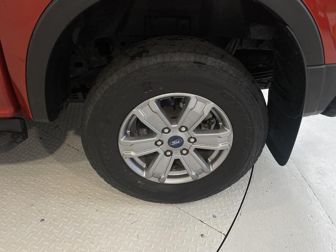 Photo '11' of Ford Ranger