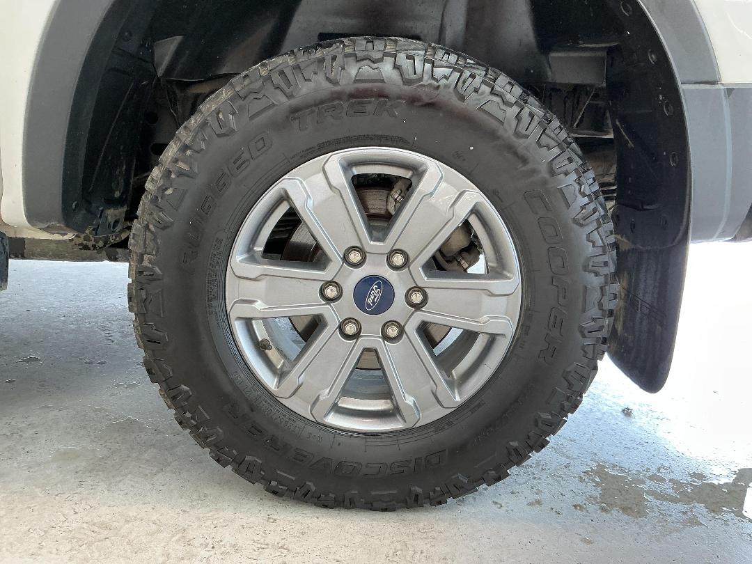 Photo '11' of Ford Ranger