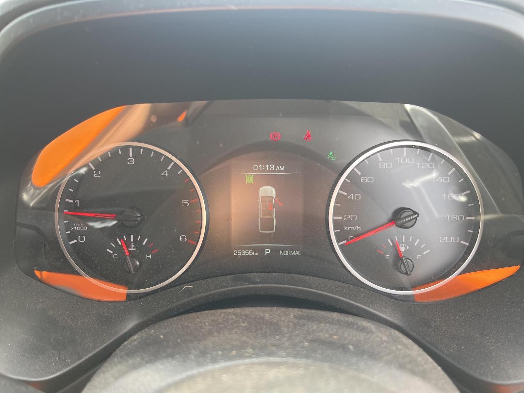 Photo '28' of Great Wall GWM Cannon Luxury 4X2