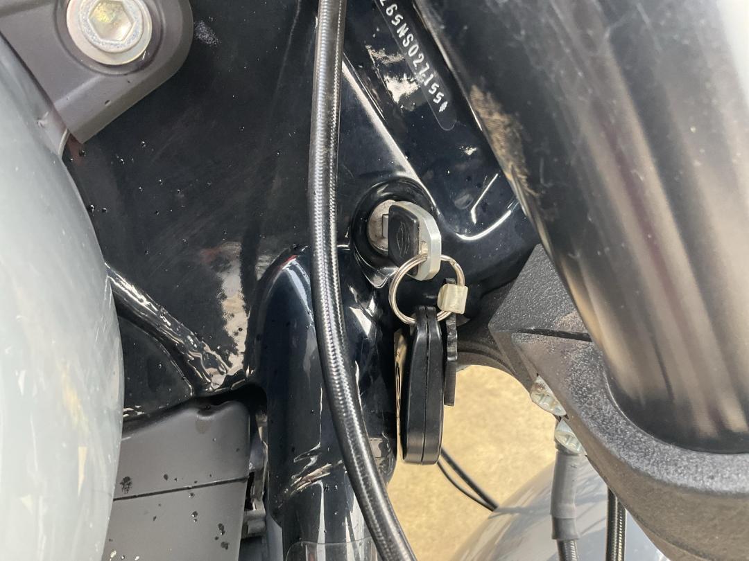 Photo '12' of Harley Davidson Softail 22 LOW RIDER S