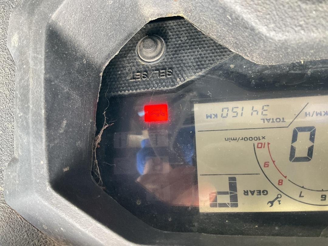 Photo '15' of Honda Pioneer 1000