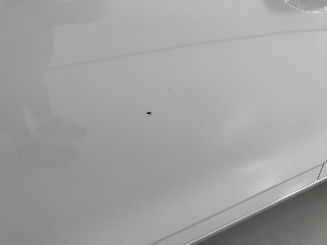 Photo '26' of Hyundai Ioniq Photo '26' of Hyundai Ioniq