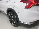 Thumbnail '25' of Hyundai Santa FE