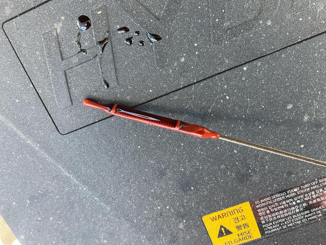 Photo '11' of KIA Niro Earth