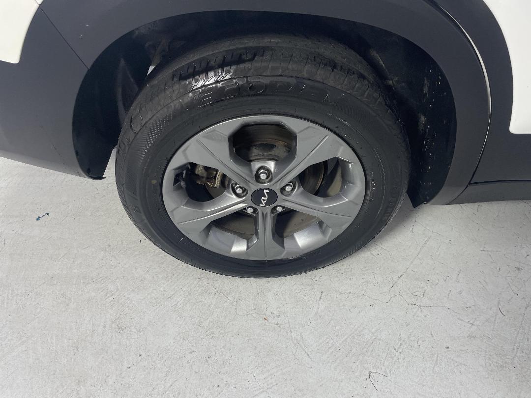 Photo '12' of KIA Seltos