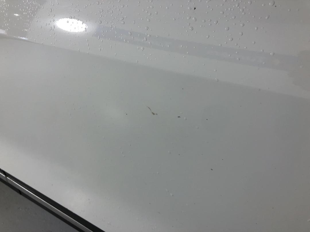 Photo '24' of KIA Sportage Photo '24' of KIA Sportage