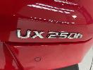 Thumbnail '36' of Lexus UX250H