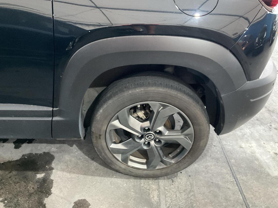 Photo '18' of Mazda MX-30 Limited