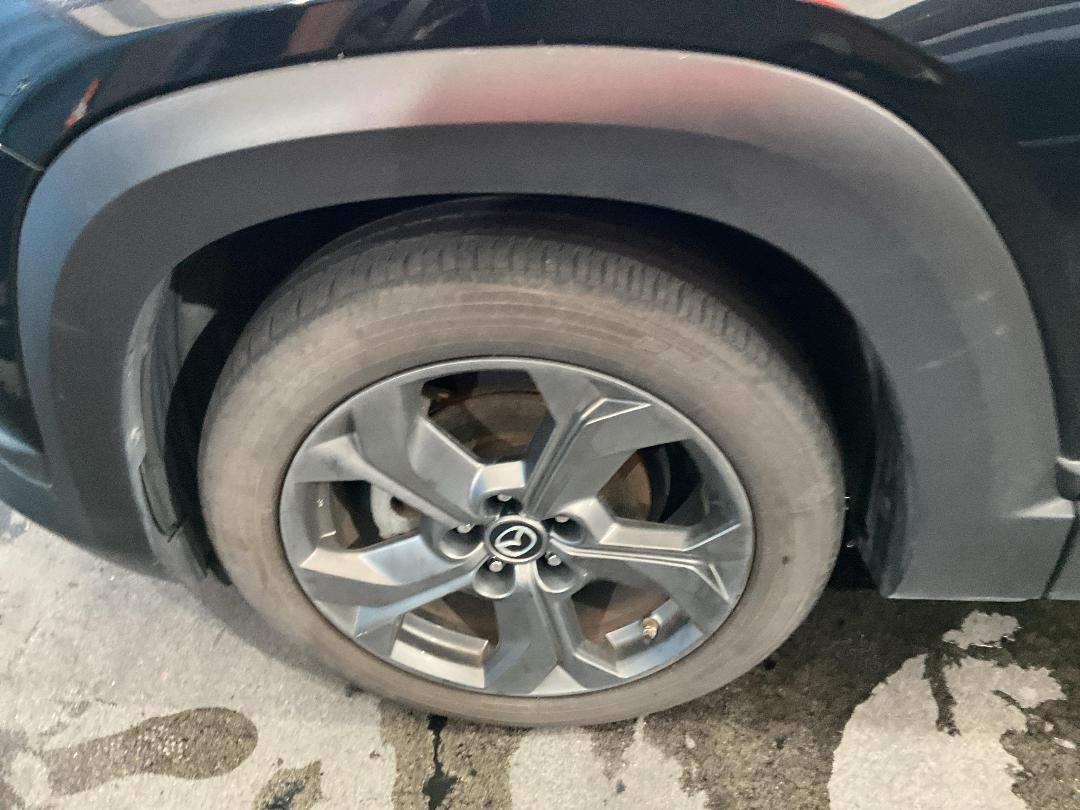 Photo '19' of Mazda MX-30 Limited