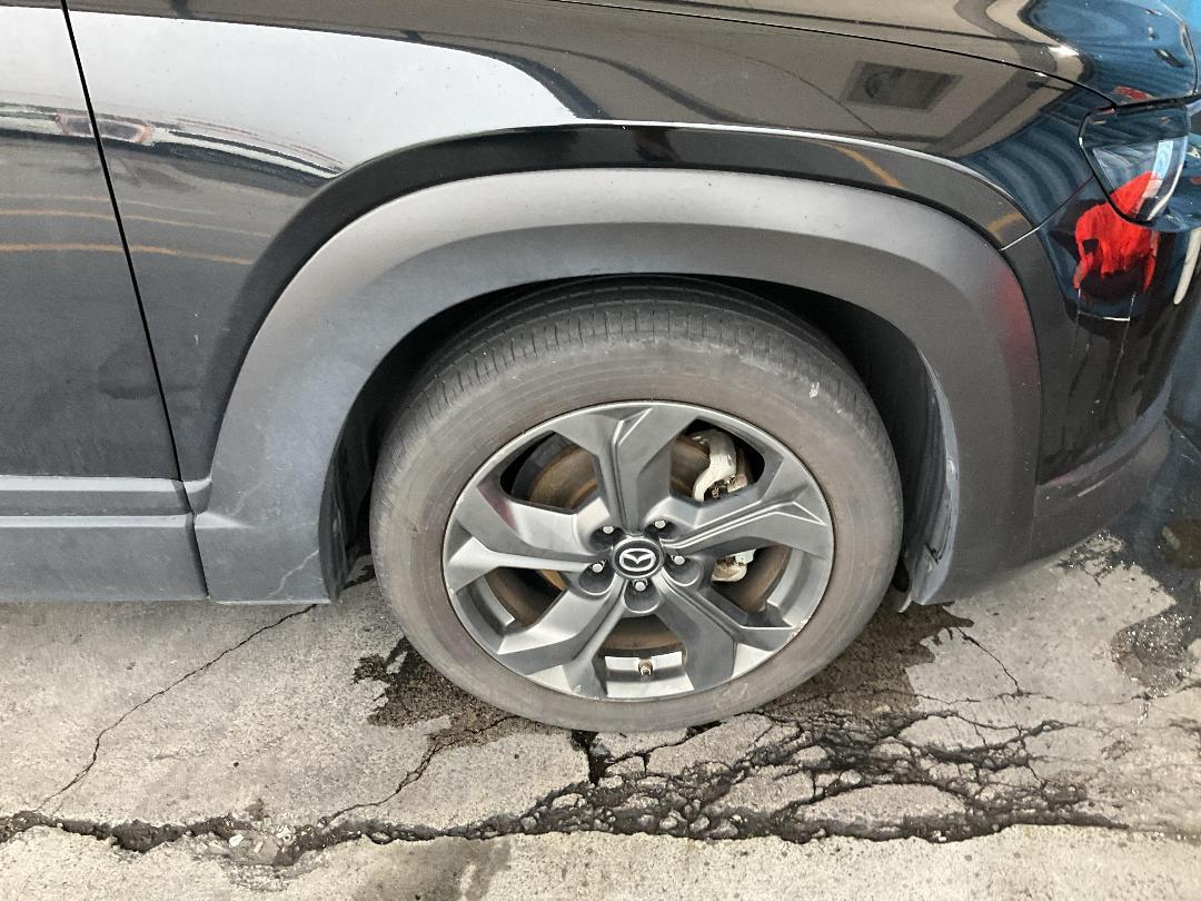 Photo '20' of Mazda MX-30 Limited