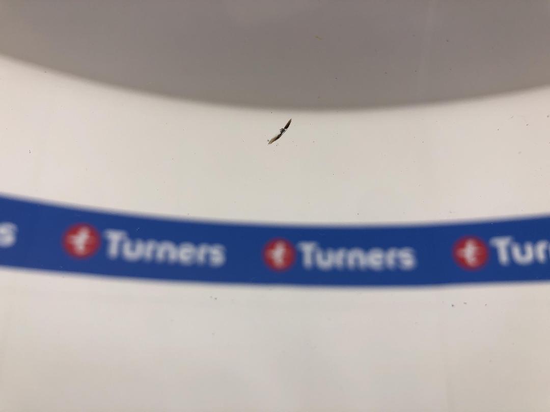 Photo '27' of Mercedes-Benz C-Class