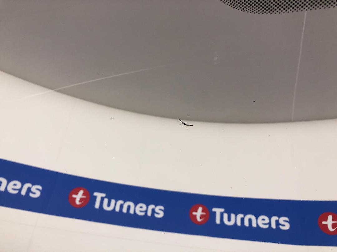 Photo '24' of Mitsubishi Outlander