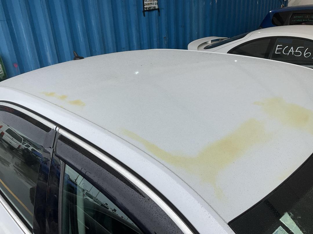 Photo '18' of Skoda Superb Style 140KW