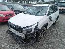 Thumbnail '7' of Subaru Forester