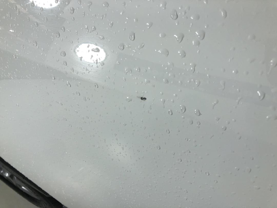 Photo '23' of Toyota Rav4 Photo '23' of Toyota Rav4