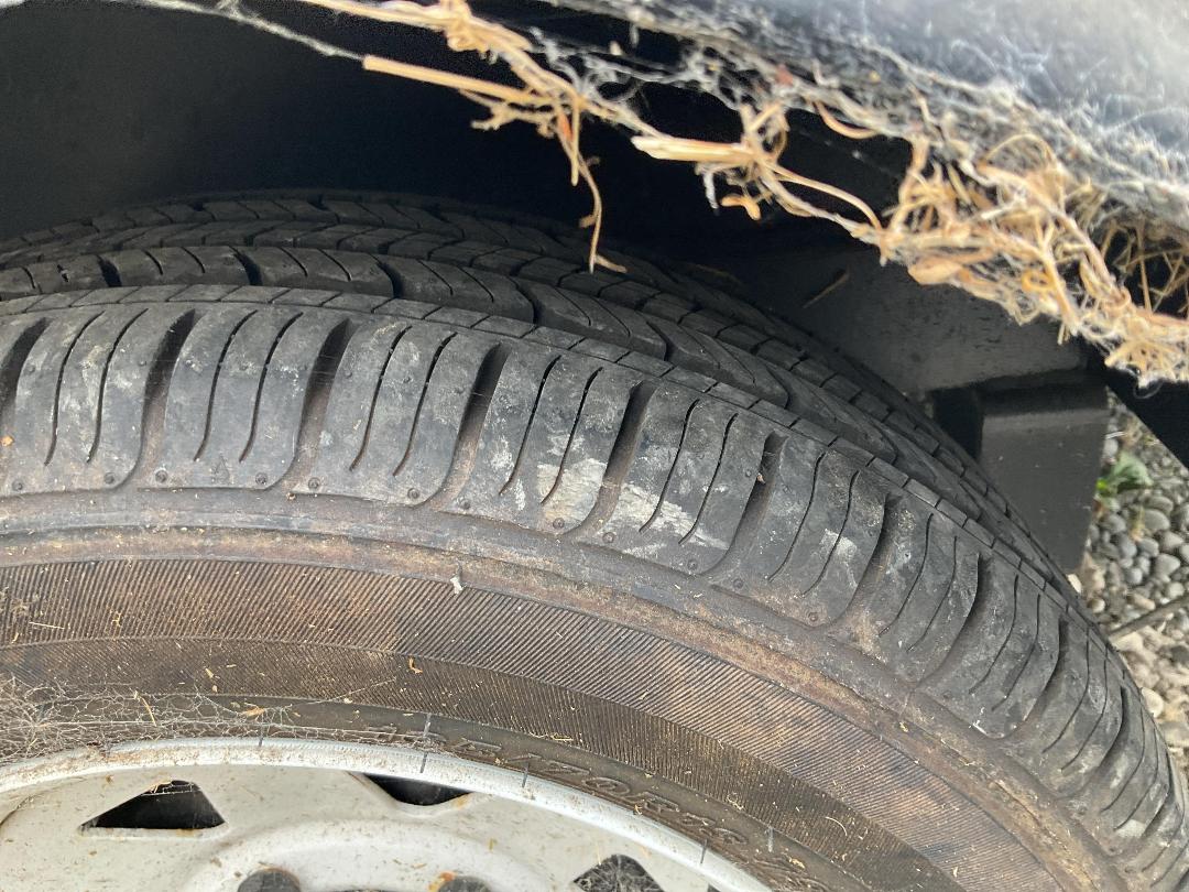 Photo '14' of TRAILER FOOD TRAILER