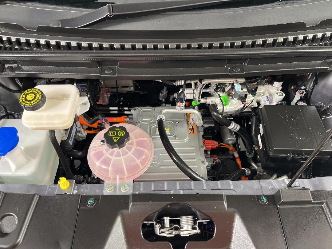 Photo '13' of BYD Dolphin