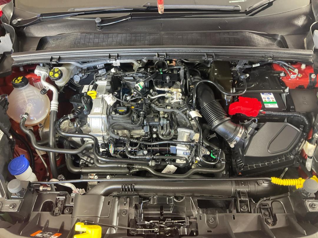 Photo '13' of Ford Puma