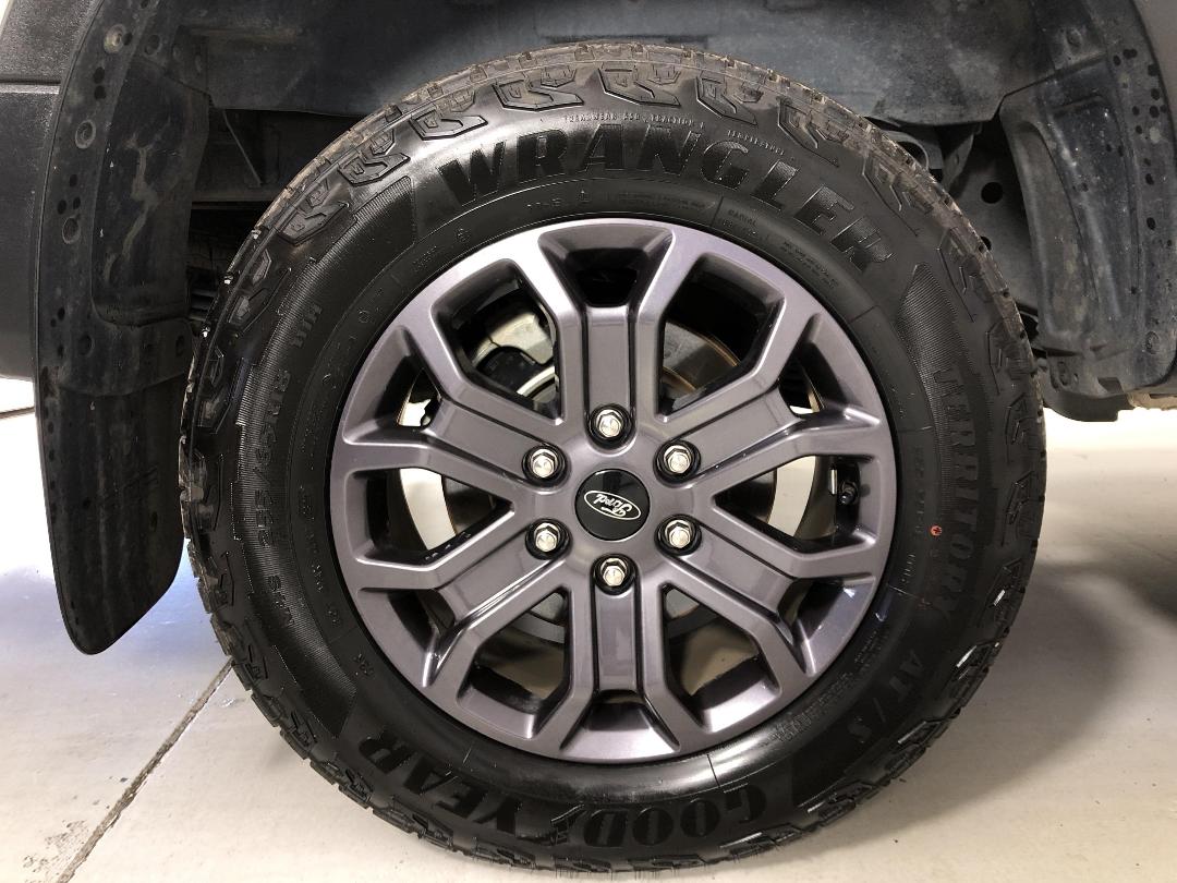 Photo '12' of Ford Ranger