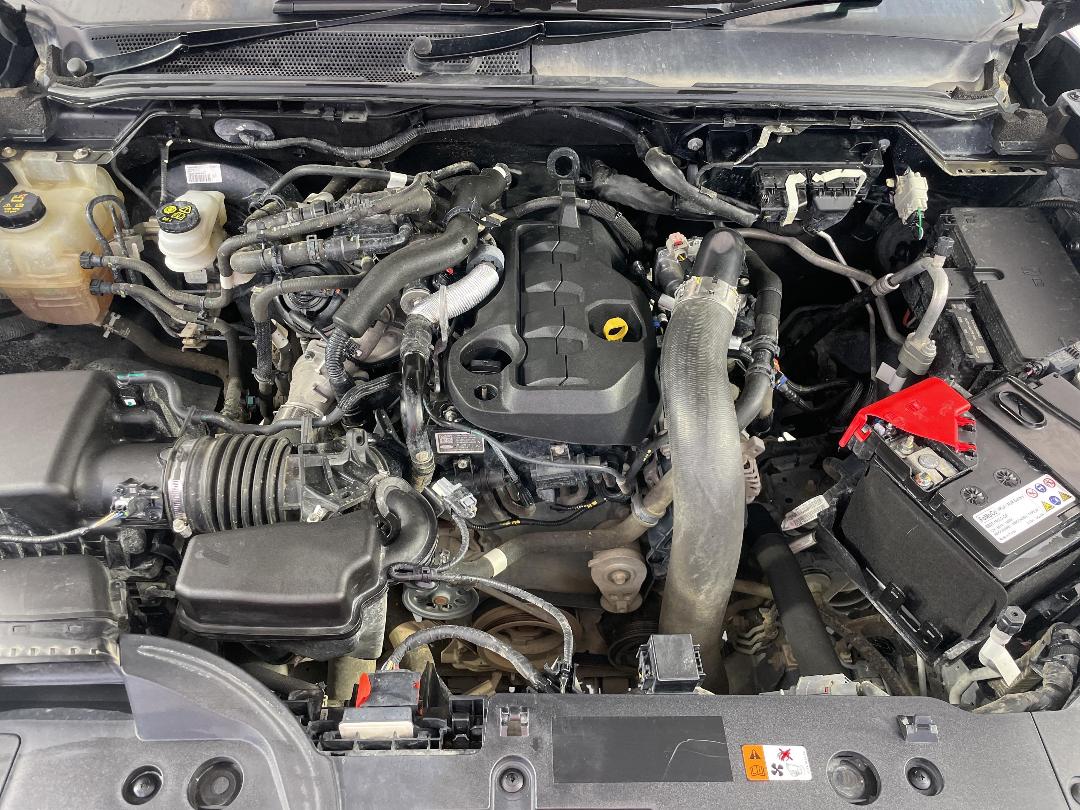 Photo '13' of Ford Ranger