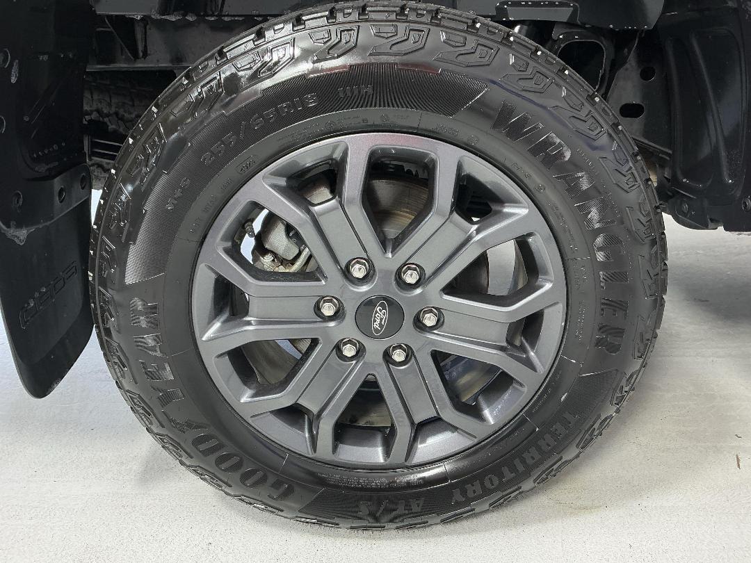 Photo '12' of Ford Ranger