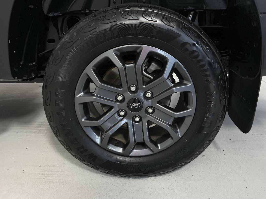 Photo '11' of Ford Ranger