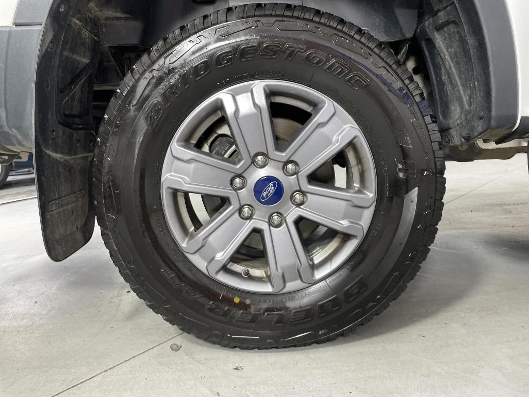 Photo '12' of Ford Ranger Photo '12' of Ford Ranger