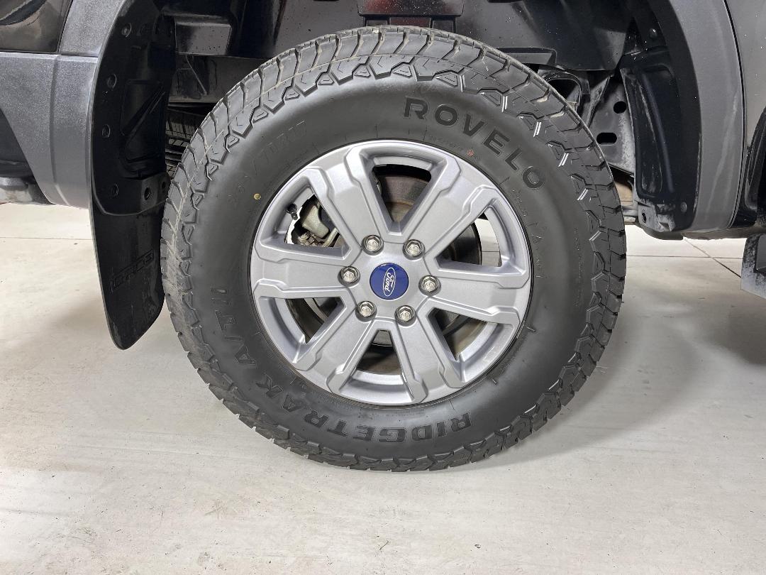 Photo '12' of Ford Ranger