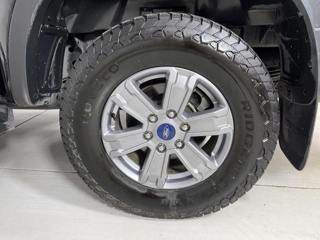 Photo '11' of Ford Ranger