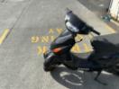 Thumbnail '13' of Forza Ciclone no submodel Thumbnail '13' of Forza Ciclone no submodel