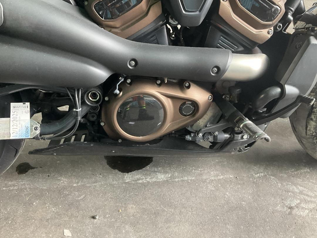 Photo '20' of Harley Davidson Revolutionmax 22 Sportster S