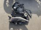 Thumbnail '21' of Honda CB 300RA Thumbnail '21' of Honda CB 300RA