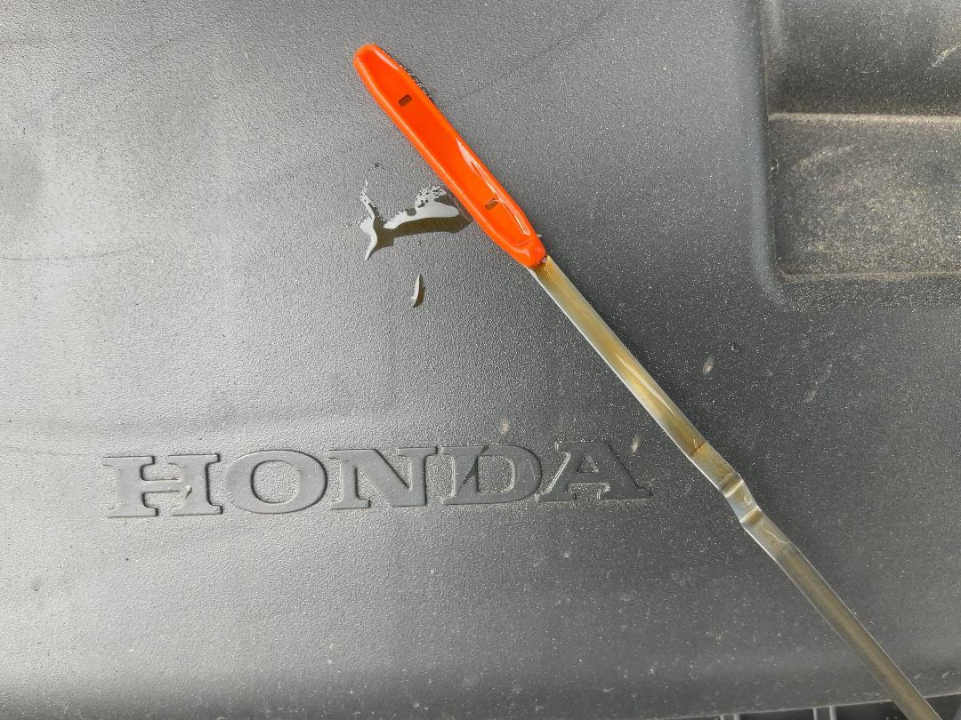 Photo '15' of Honda Jazz E:HEV Luxe Sport