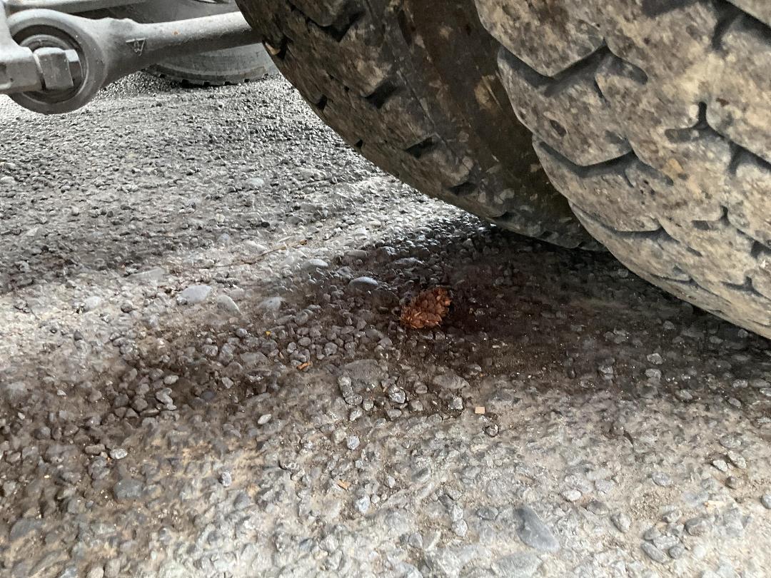 Photo '26' of Iveco S-WAY AS5764 Tractor