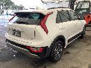 Thumbnail '6' of KIA Niro Earth