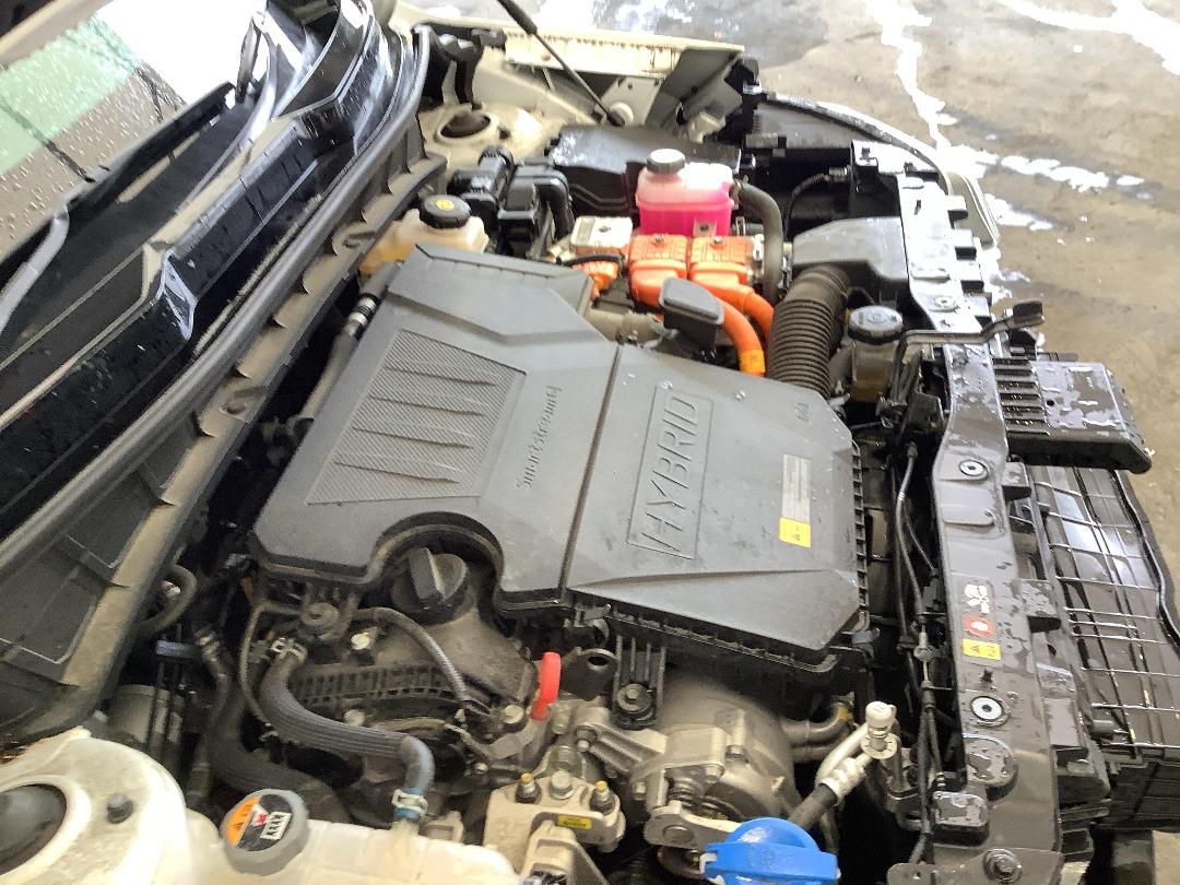 Photo '19' of KIA Niro Earth