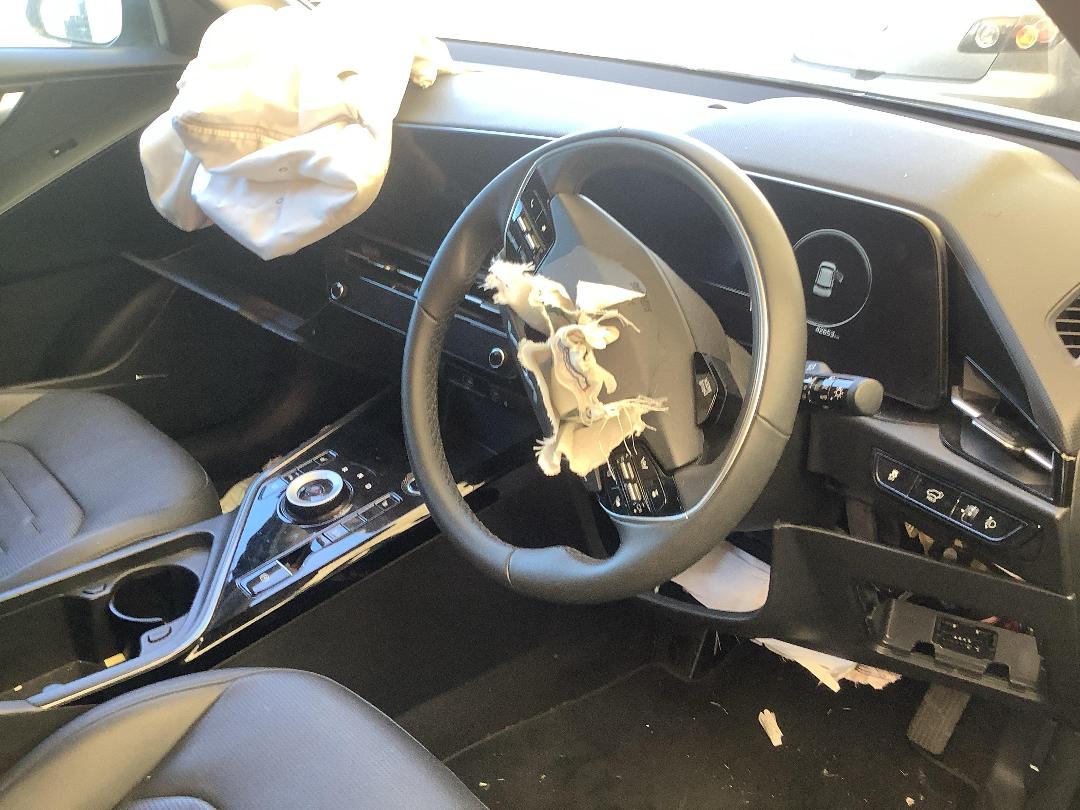 Photo '13' of KIA Niro EV Water 460