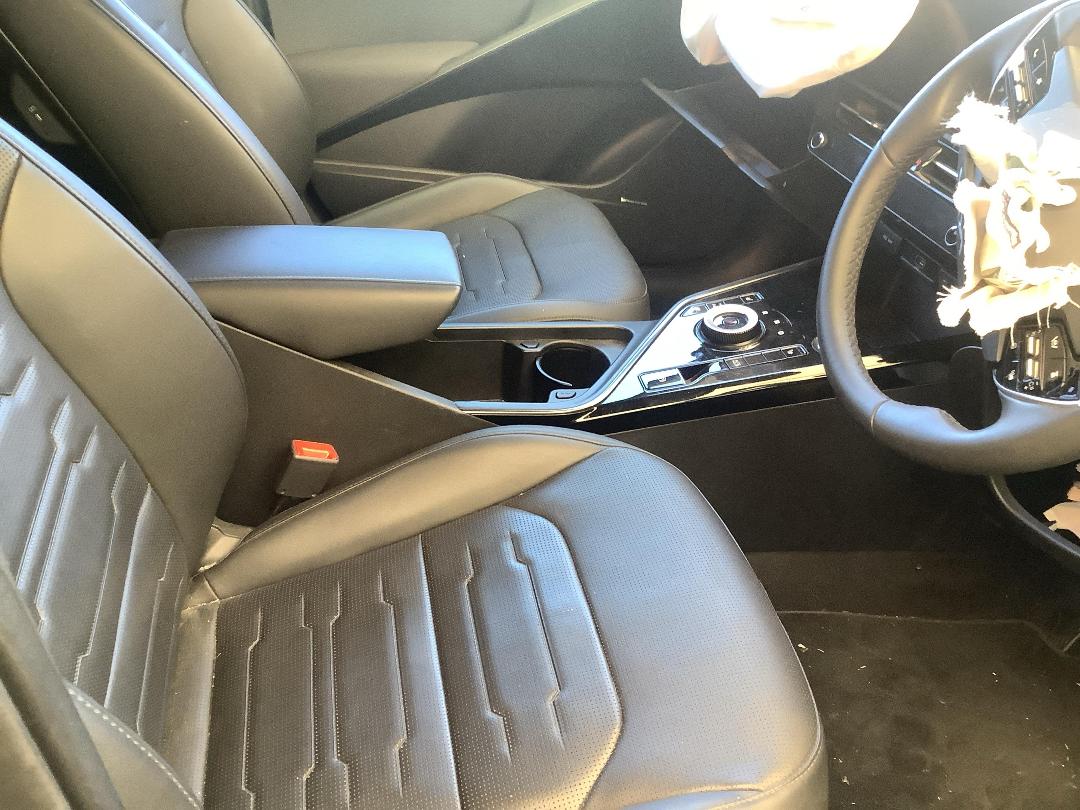 Photo '14' of KIA Niro EV Water 460