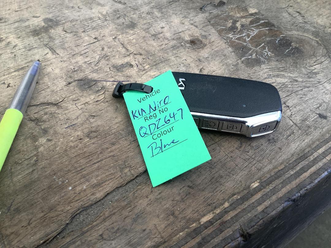 Photo '24' of KIA Niro EV Water 460